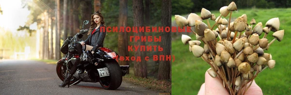 трава Алзамай