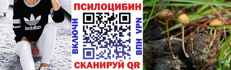 Галлюциногенные грибы MAGIC MUSHROOMS  Данилов 